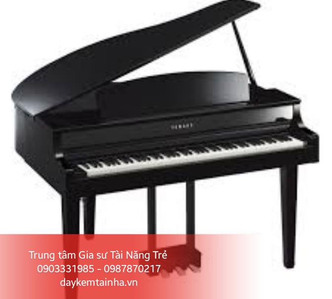 Giá đàn Grand Piano tại Việt Nam